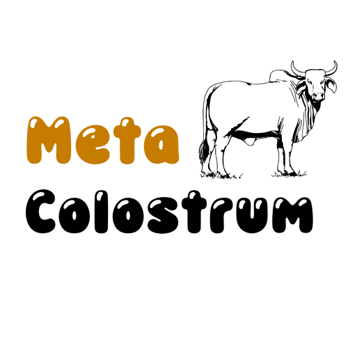 Metamorphosis