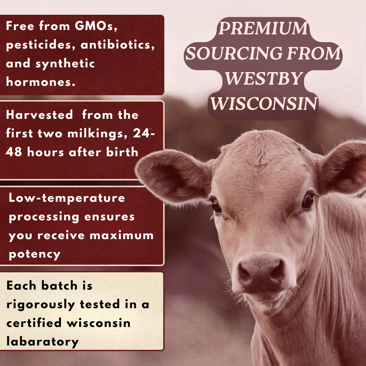 Meta Colostrum Capsules